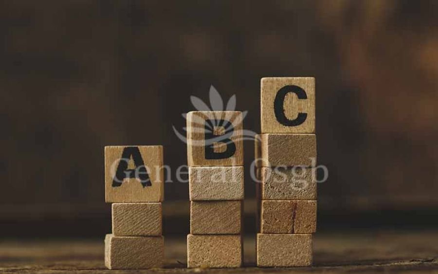 Yüksekte Çalışma Eğitimi Dili - General OSGB